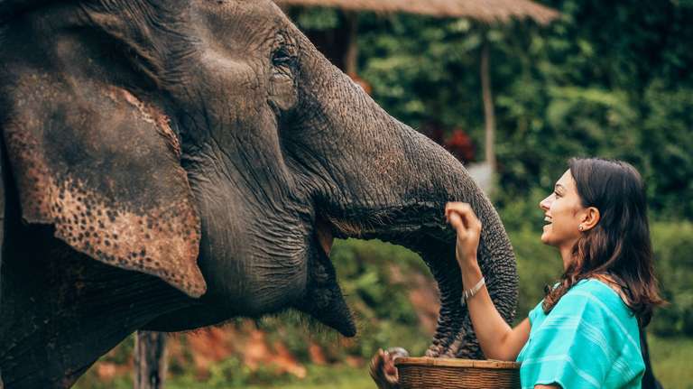 Thai Island Hopper West trip - alternative tour available
