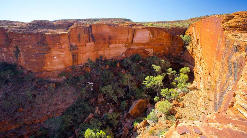 Australia: Uluru Explorer - Contiki - Australia - Image 4