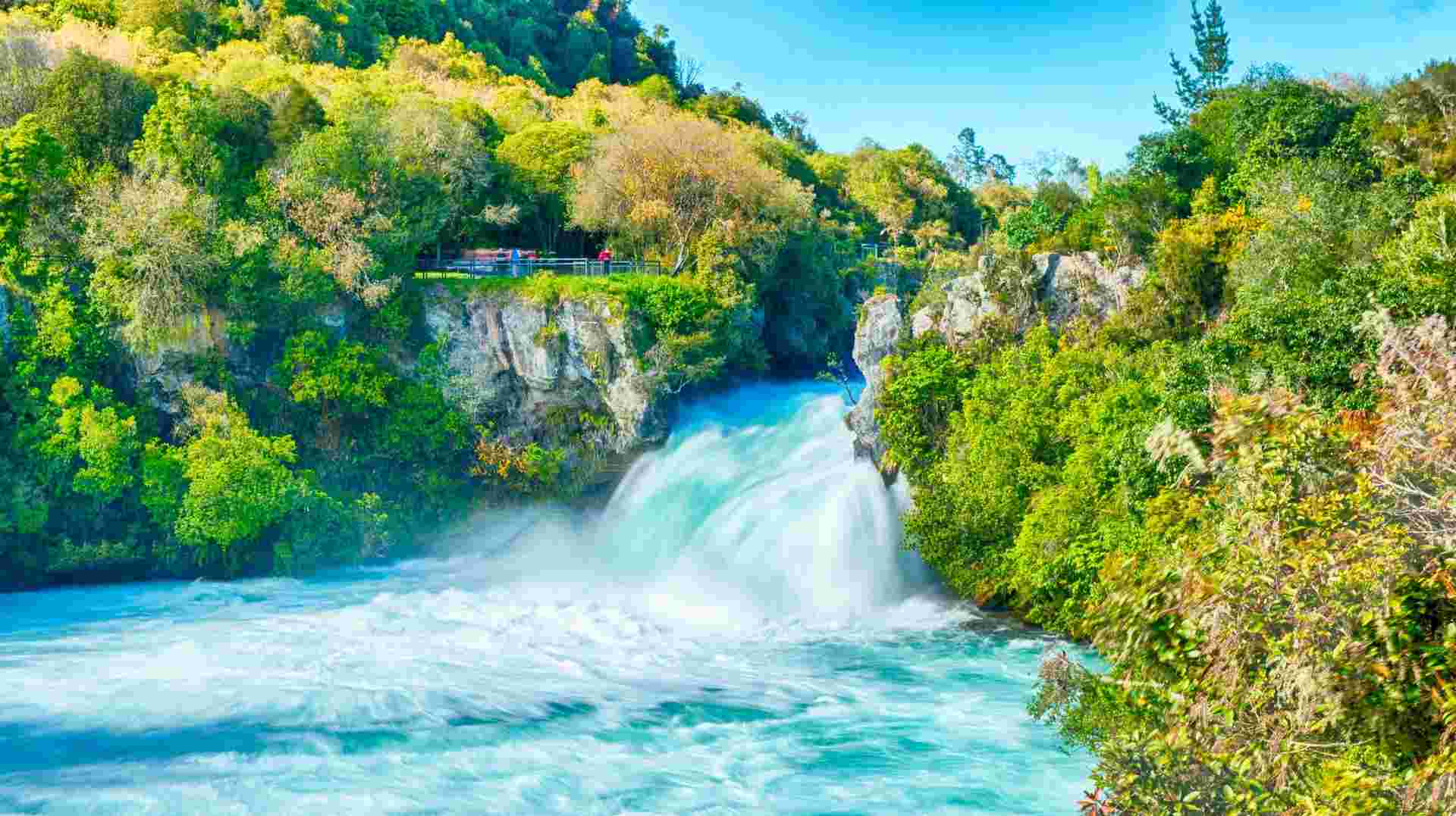 New Zealand: Northern Choice