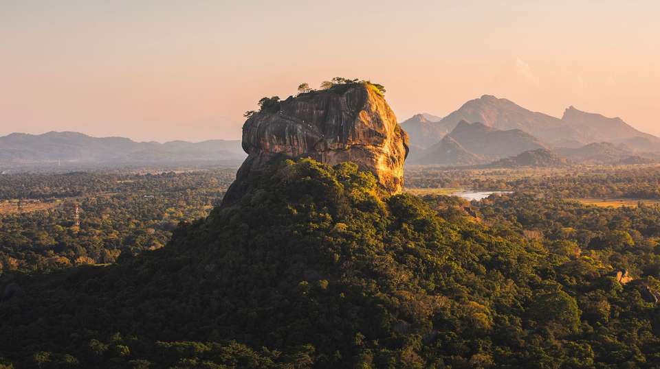 Pure Sri Lanka Reunion 35 to 45 - undefined - Image 6