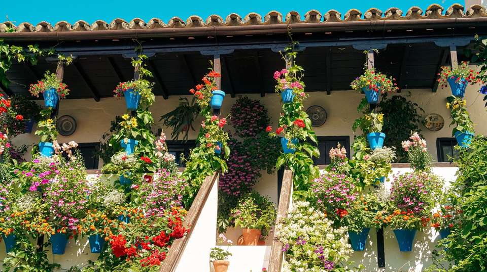 Spain and Portugal Highlights - Contiki - Spain - Image 2