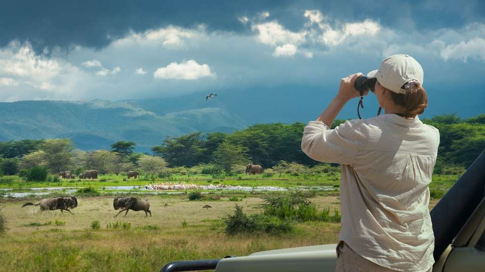Kenya and Tanzania Safari - Contiki - Kenya - Image 1