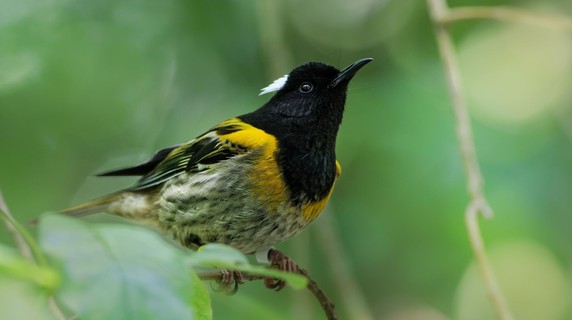 Image 4 of 7