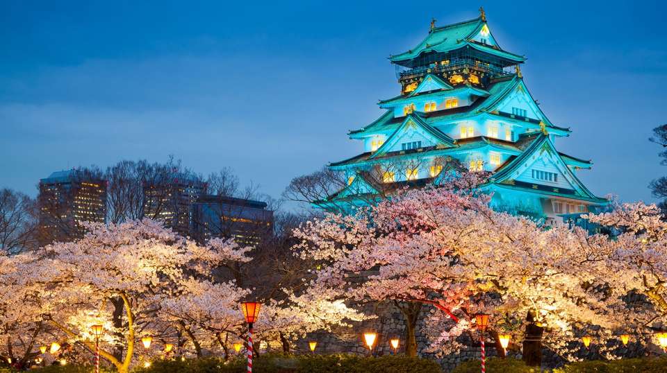Japan Winter Wonder - Contiki - Japan - Image 2