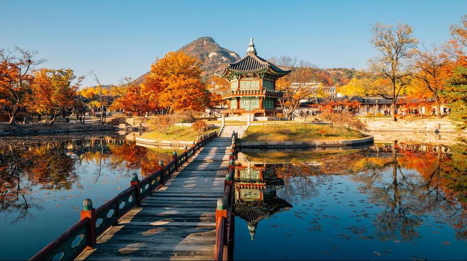 South Korean Soul - Contiki - South Korea - Image 4