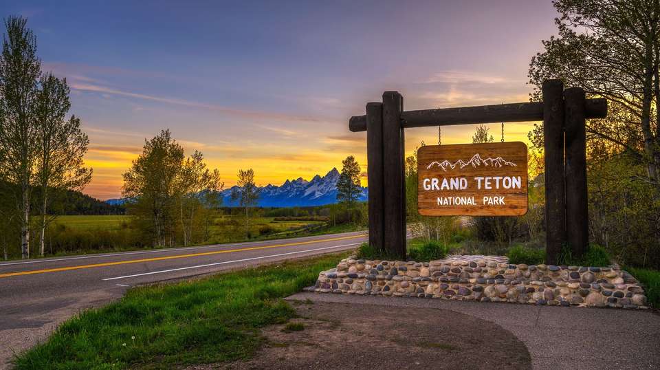Yellowstone and Grand Tetons - Contiki - USA - Image 2