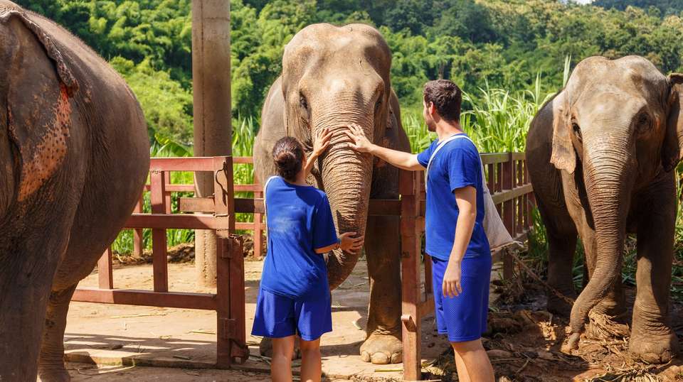 Ultimate South East Asia - Contiki - Thailand - Image 4