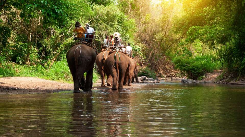 Northern Thai Highlights - Contiki - Thailand - Image 1
