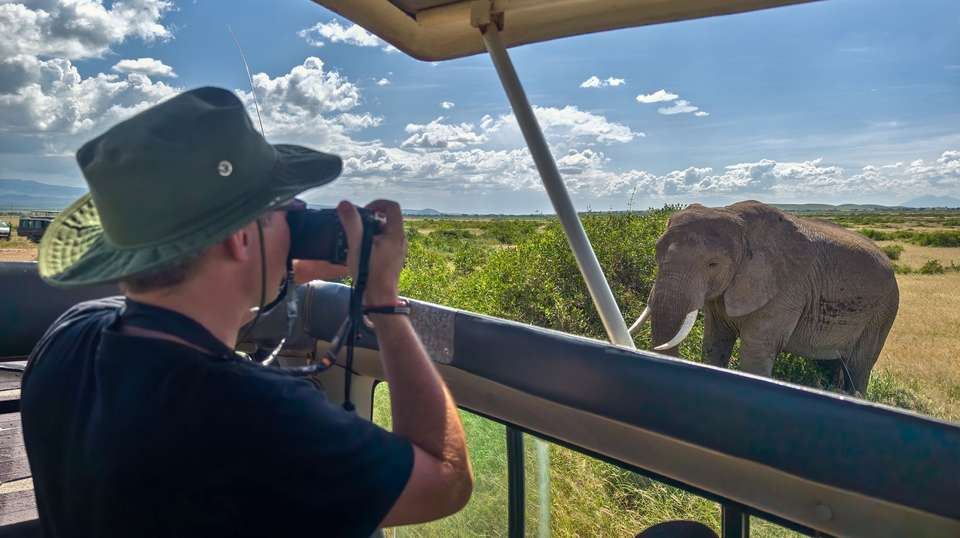Learn to be a Safari Guide in Kruger National Park - Contiki - South Africa - Image 2