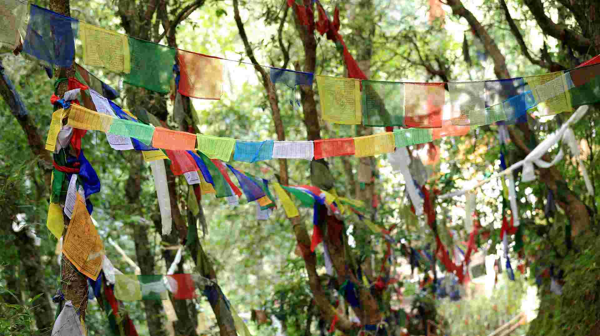 Nepal Trek and Temples