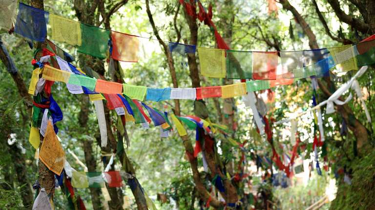Nepal Trek and Temples trip - alternative tour available