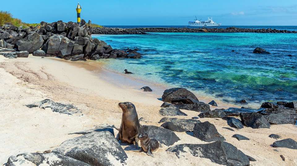 Ecuador and Galapagos Island Hopper - Contiki - Ecuador - Image 3