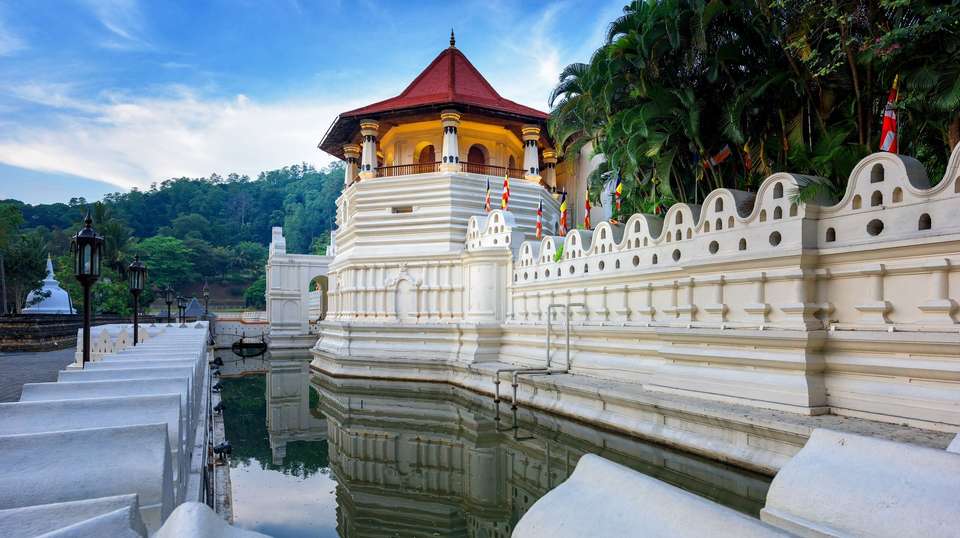Pure Sri Lanka Reunion 35 to 45 - undefined - Image 5