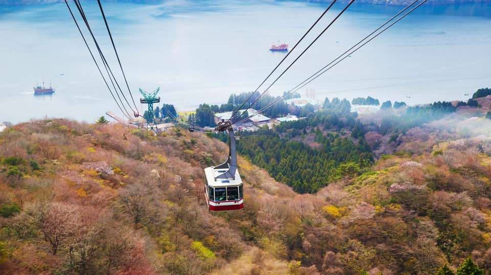 Japan Winter Wonder - Contiki - Japan - Image 4