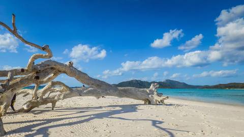 Active And Outdoor Tour: Australia: North Queensland Adventure