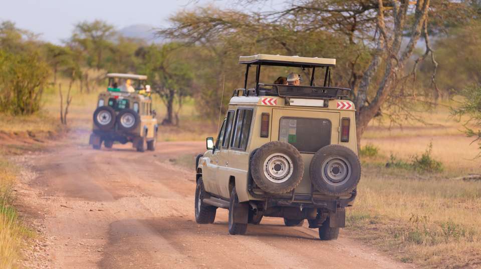 Kenya and Tanzania Safari - Contiki - Kenya - Image 3