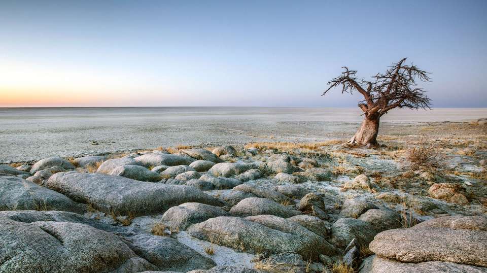 Okavango Delta and Deserts - Contiki - Botswana - Image 1