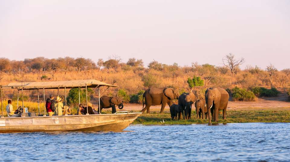 Cape, Safari and Falls - Contiki - Botswana