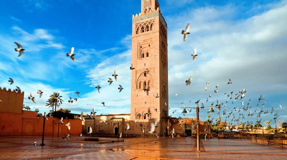Moroccan Adventure - Contiki - Morocco - Image 2