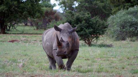 Cape Town Adventure Tour: Icons Of Southern Africa