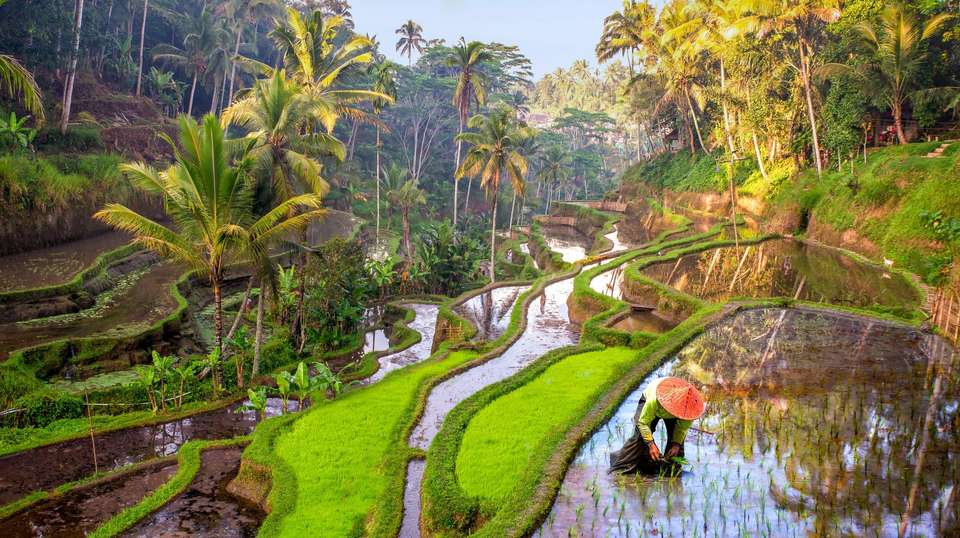 Magical Bali - Costsaver - Indonesia - Image 5