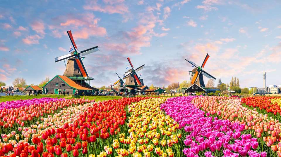 European Cavalcade - Costsaver - Holland - Image 5