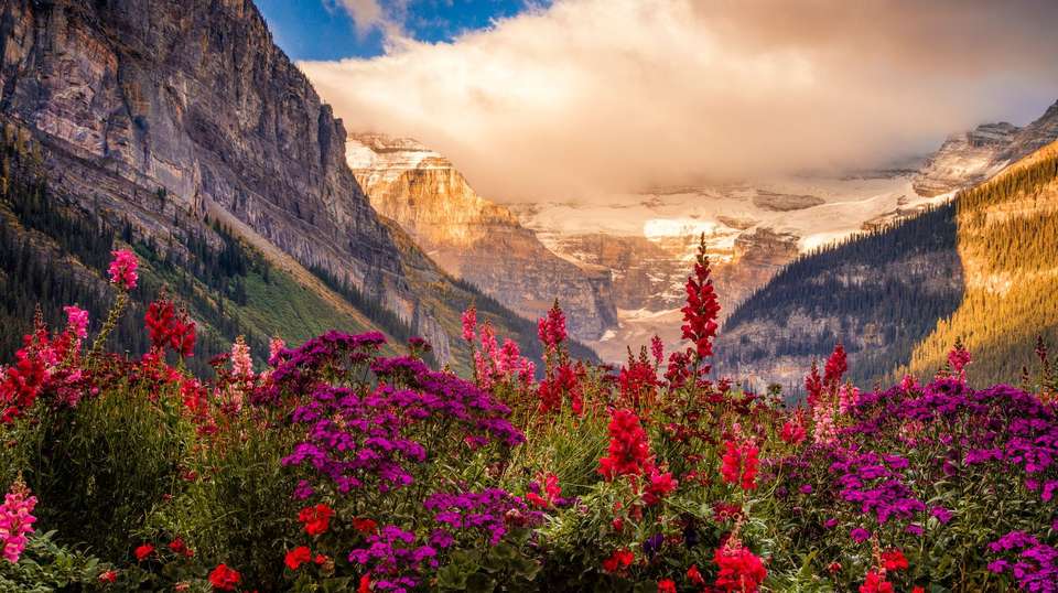 Wonders of the Canadian Rockies - Costsaver - Canada - Image 3