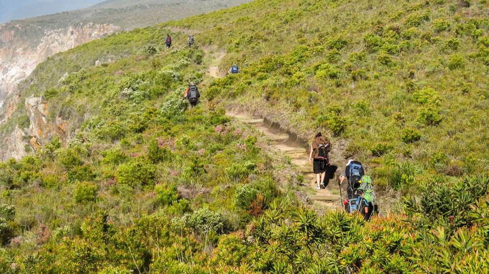 Wonders of the Western Cape - Costsaver - South Africa - Image 3