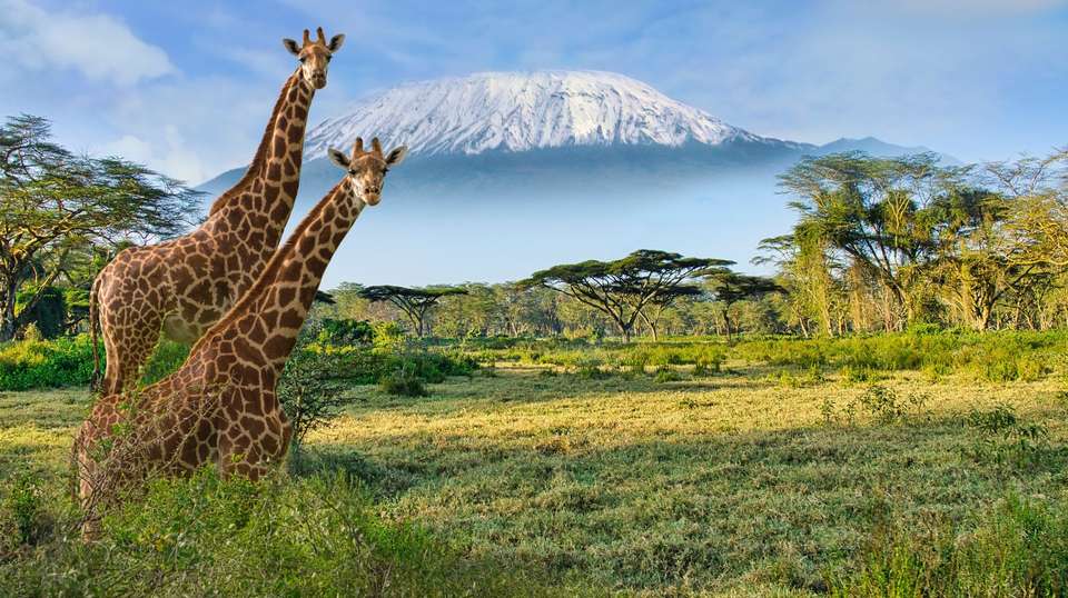 Highlights of Kenya - Costsaver - Kenya - Image 3