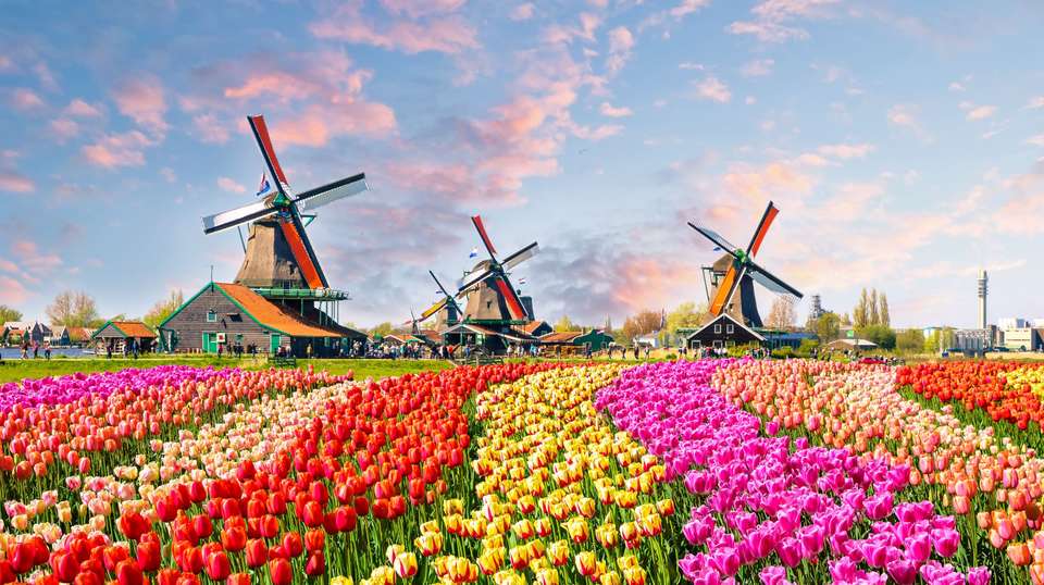 European Discoverer - Costsaver - Holland - Image 5