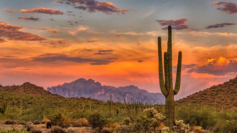 Los Angeles Adventure Tour: Best Of The West