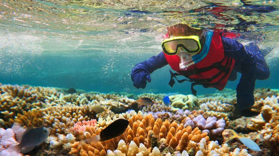Bucket List Australia - Costsaver - Australia - Image 2
