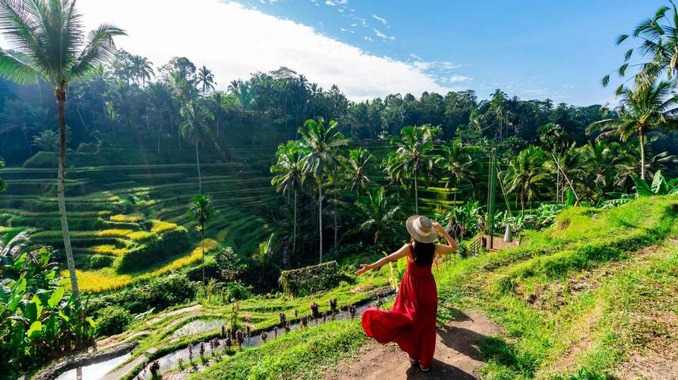 Magical Bali - Costsaver - Indonesia - Image 6