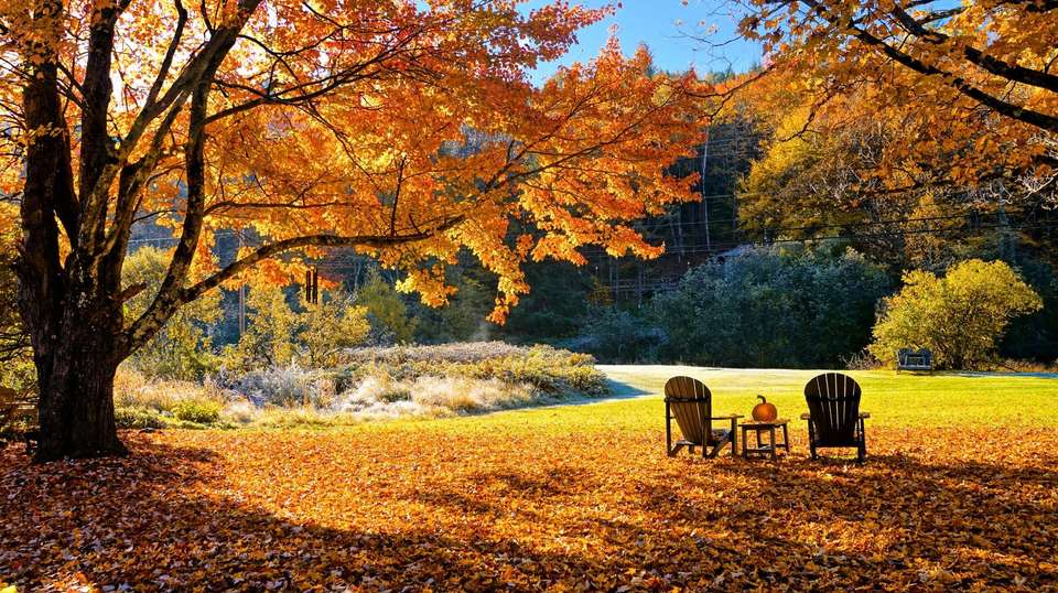 Fall Colours of New England - Costsaver - USA - Image 1