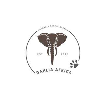 Dahlia Africa