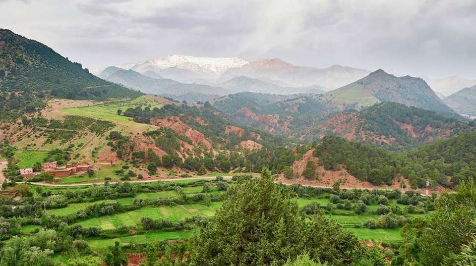 Morocco Luxury Escape  - Desertbrise Travel - Morocco - Image 6
