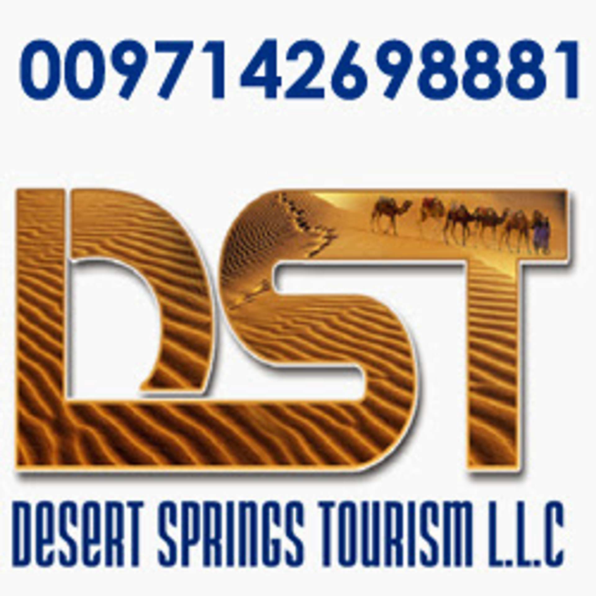 Desert Springs Tourism LLC