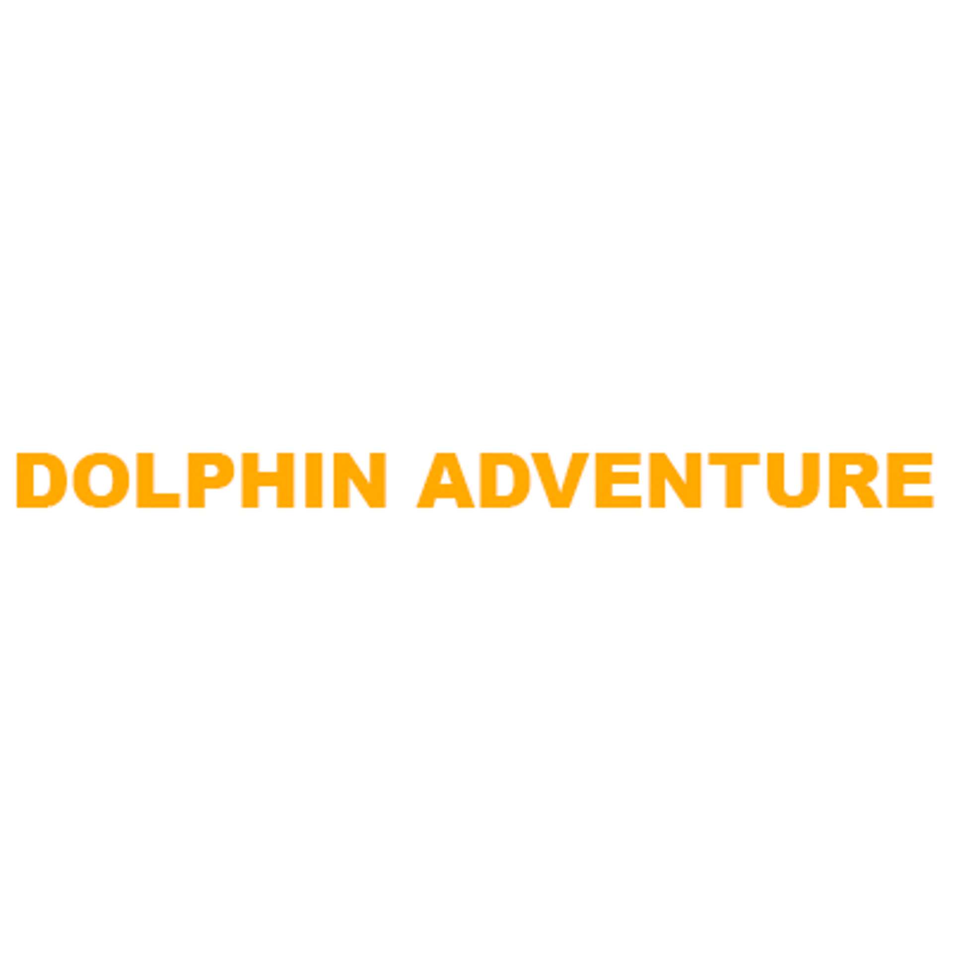 Dolphin Adventure