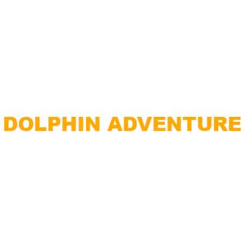 Dolphin Adventure