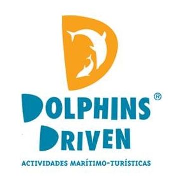 Dolphins Driven
