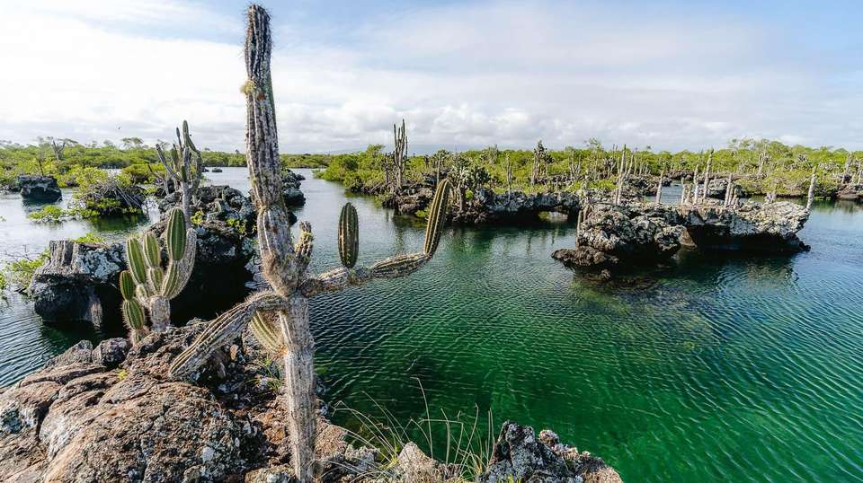 5 Days Galapagos Expedition Tour - undefined - Image 5