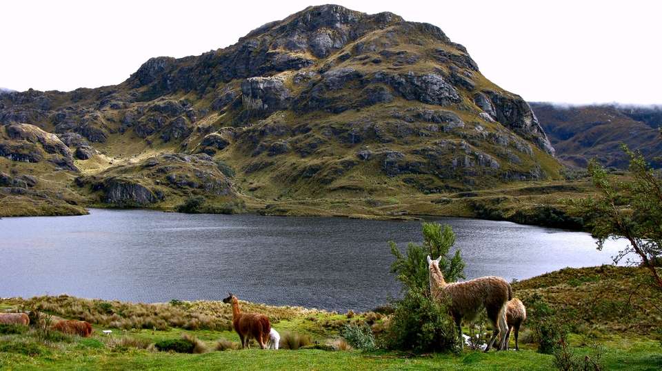 12 Days Exploring Ecuador: From the Andes to the Coast - Responsible Travel South America - Ecuador - Image 3