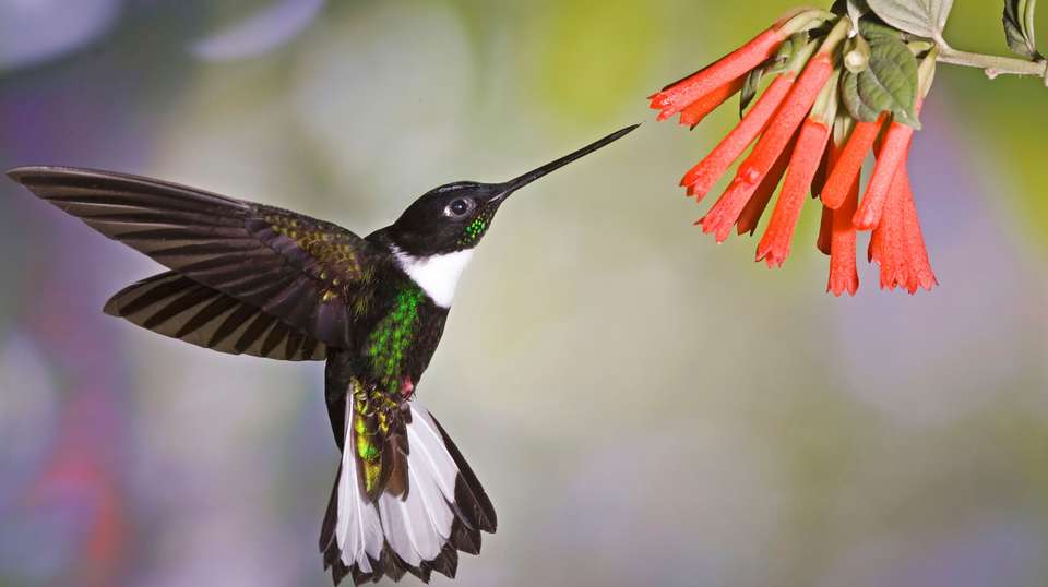 10-Day Family Adventure: Quito to Baños - undefined - Image 3