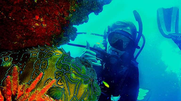 7 Days Galapagos Multisport Adventure Tour trip - alternative tour available