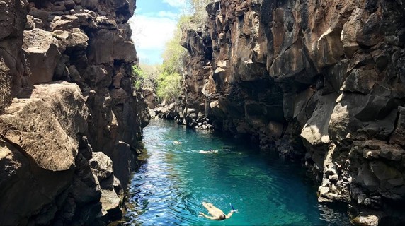 Image 4 of 5