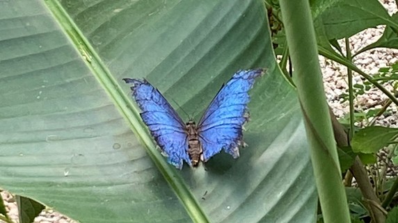 Image 4 of 7