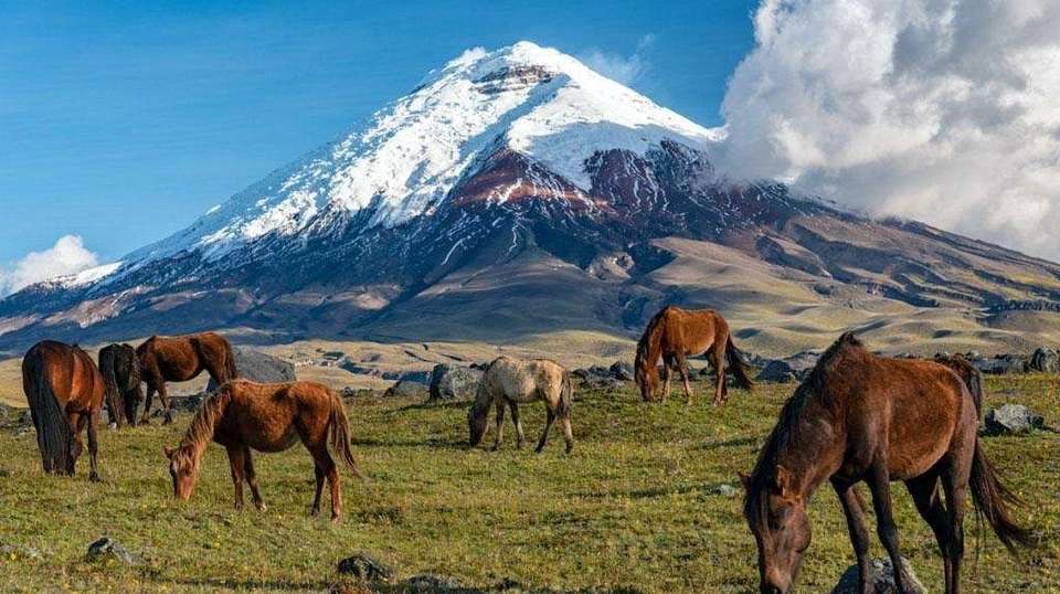 Cotopaxi exploration on Horseback riding - undefined - Image 2