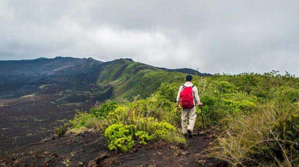 5 Days Galapagos Expedition Tour - undefined - Image 4