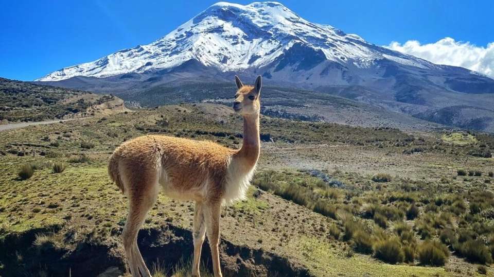 15 Days Exploring Ecuador's Wonders - Responsible Travel South America - Ecuador - Image 7