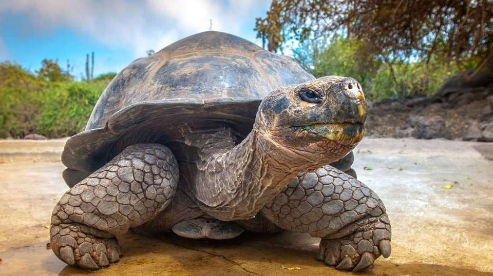 5 Days: Galapagos Islands San Cristobal & Santa Cruz - undefined - Image 2